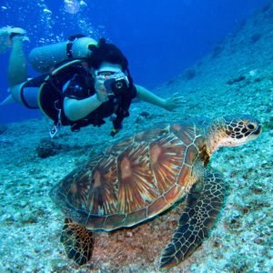 From Thrills to Tranquility: Exploring the Reasons to Scuba Dive! - Divers Union