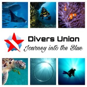 Journey into the Blue: Our scuba diving blog has launched! - Divers Union