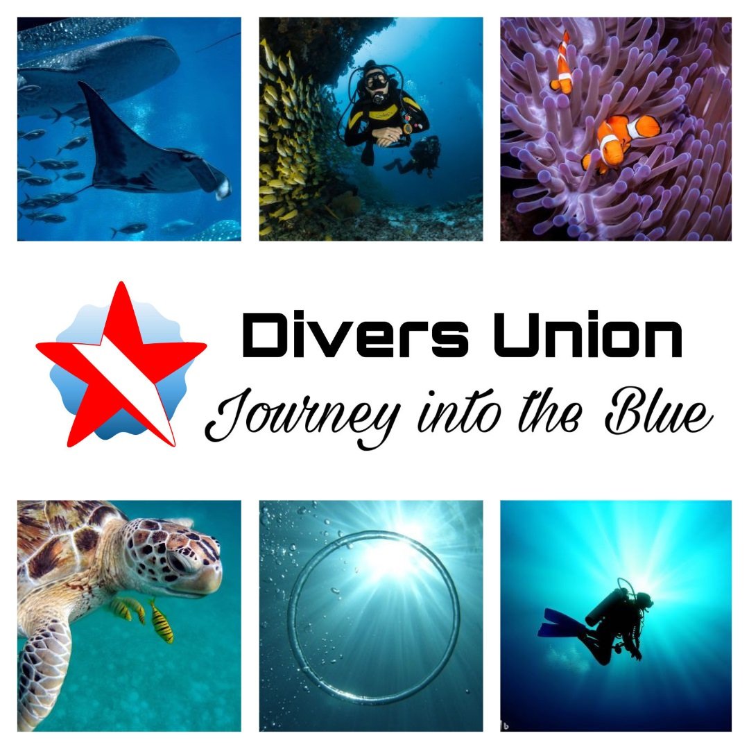 Journey into the Blue: Our scuba diving blog has launched! - Divers Union