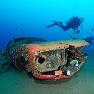 From Wrecks to Vibrant Habitats: The Fascination of Artificial Reefs - Divers Union