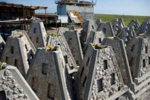 From Wrecks to Vibrant Habitats: The Fascination of Artificial Reefs - Divers Union