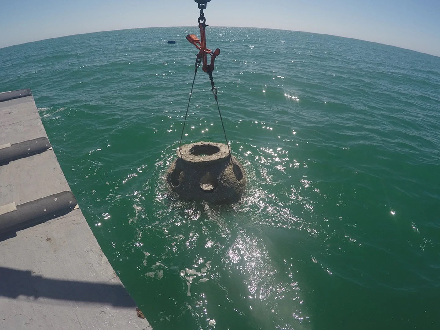 From Wrecks to Vibrant Habitats: The Fascination of Artificial Reefs - Divers Union