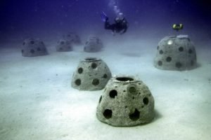 From Wrecks to Vibrant Habitats: The Fascination of Artificial Reefs - Divers Union
