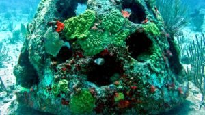 From Wrecks to Vibrant Habitats: The Fascination of Artificial Reefs - Divers Union