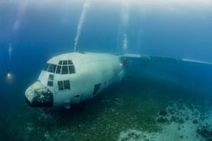 From Wrecks to Vibrant Habitats: The Fascination of Artificial Reefs - Divers Union