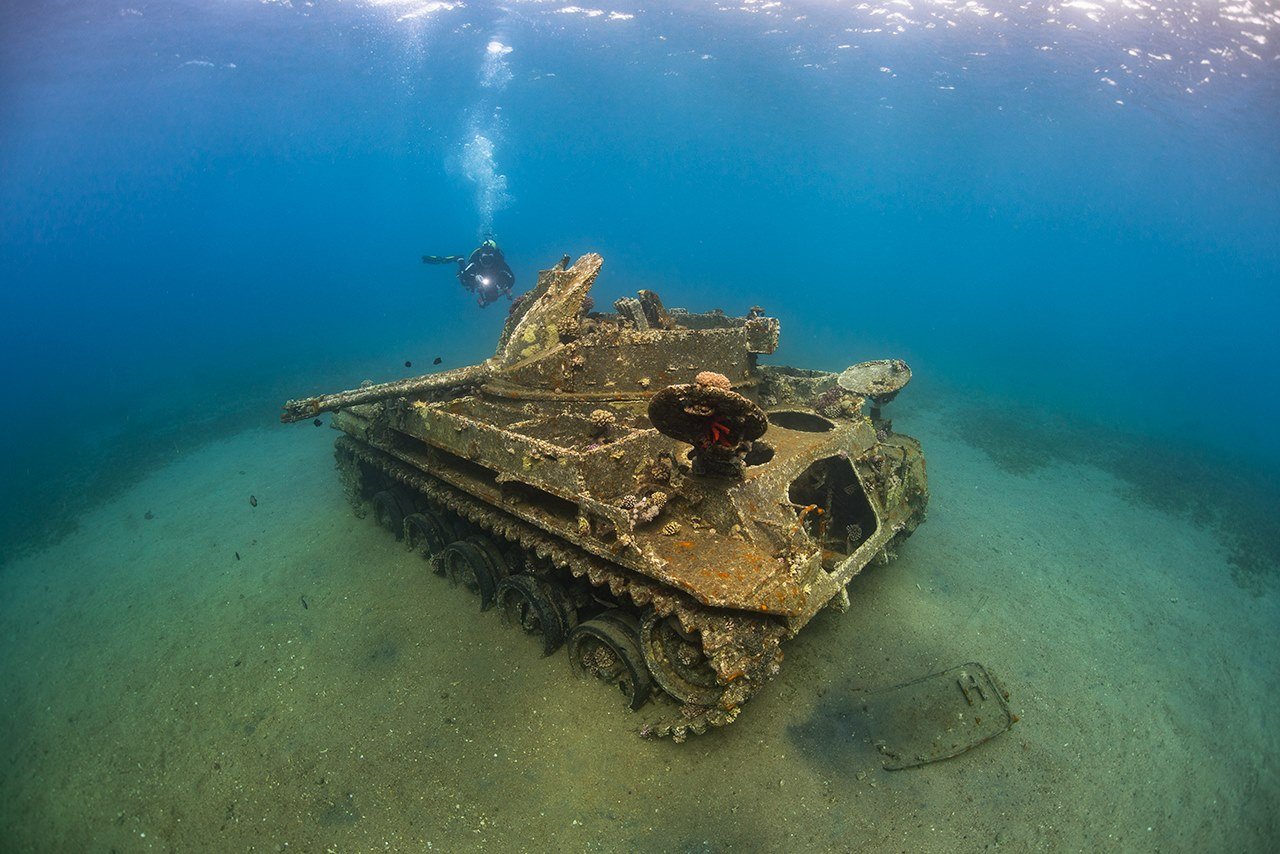 From Wrecks to Vibrant Habitats: The Fascination of Artificial Reefs - Divers Union