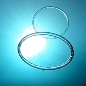 Bubble Rings Unleashed: A Dive into Underwater Artistry - Divers Union
