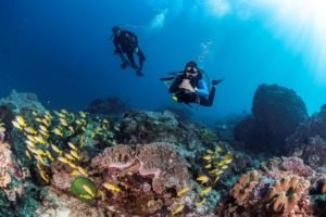 Perfect Buoyancy: Discovering Joy and Awareness in Diving - Divers Union