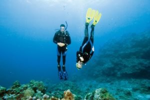 Perfect Buoyancy: Discovering Joy and Awareness in Diving - Divers Union