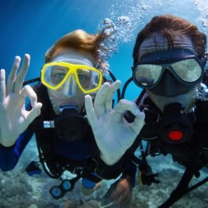 The Buddy System: Ensuring Safety and Enjoyment in Scuba Diving - Divers Union