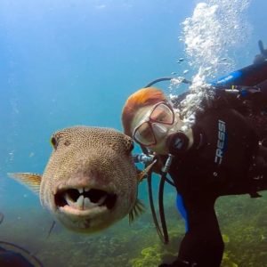 The Buddy System: Ensuring Safety and Enjoyment in Scuba Diving - Divers Union