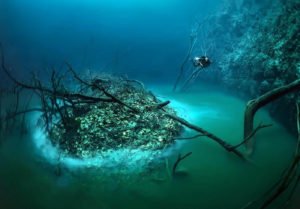 Cenotes of Tulum: Cave Diving Escapades - Divers Union