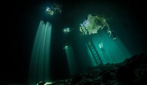 Cenotes of Tulum: Cave Diving Escapades - Divers Union