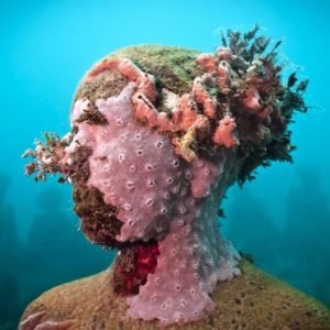 Sculpting Coral Reefs: Grenada's Underwater Sculpture Park - Divers Union