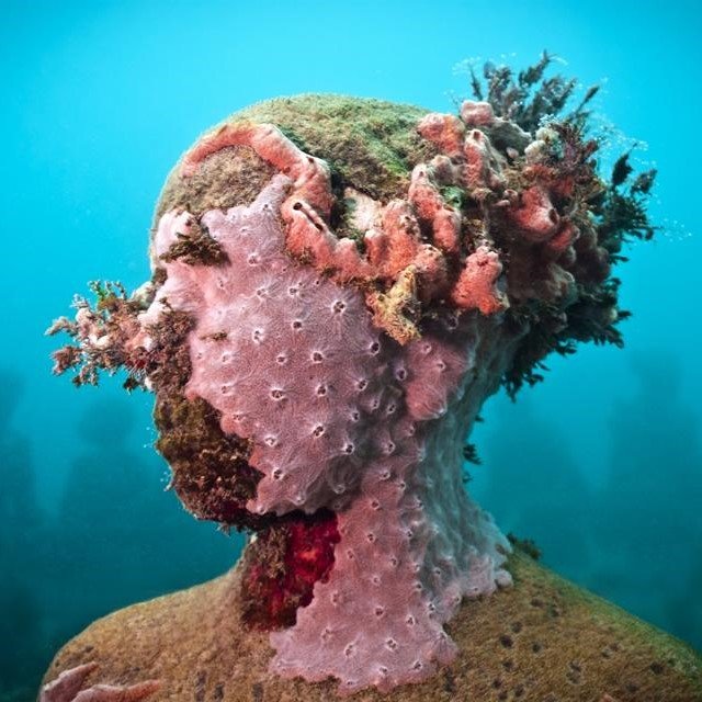 Sculpting Coral Reefs: Grenada's Underwater Sculpture Park - Divers Union