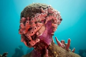 Sculpting Coral Reefs: Grenada's Underwater Sculpture Park - Divers Union